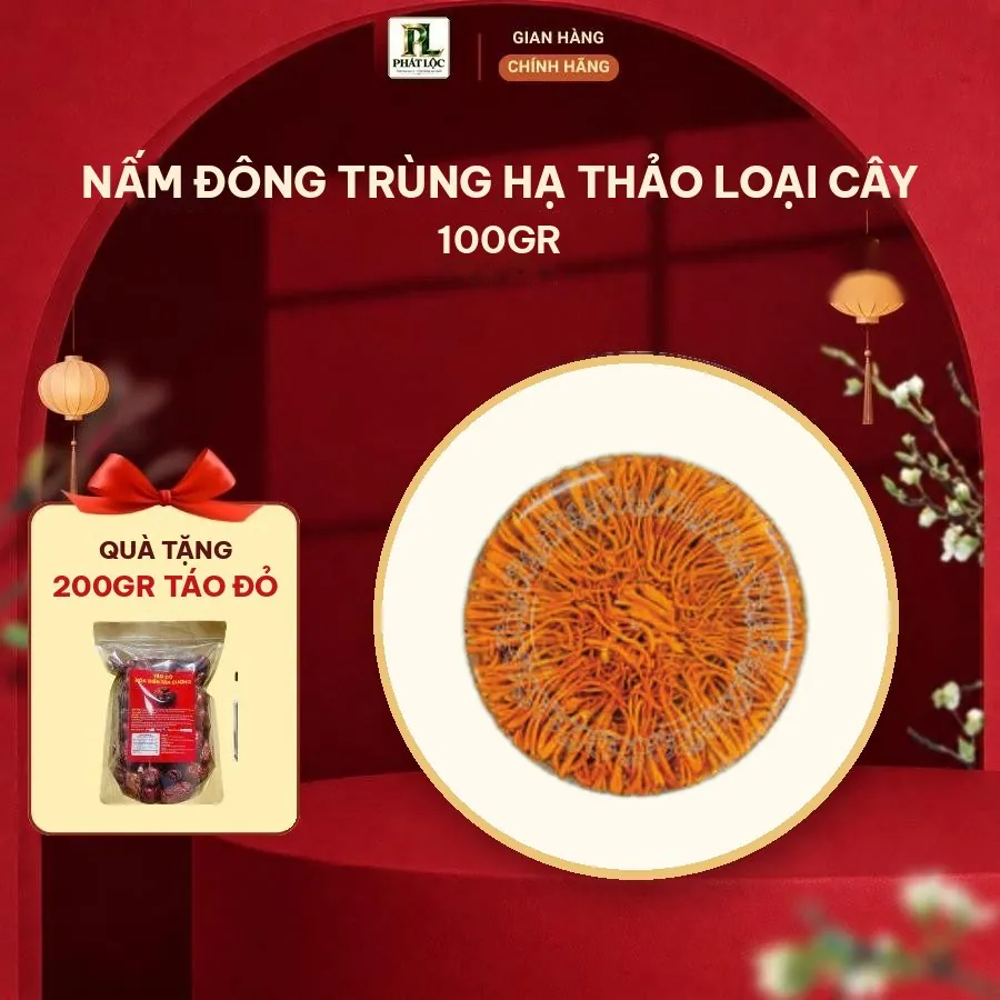 Nấm Đông Trùng Hạ Thảo Loại Cây 100gr