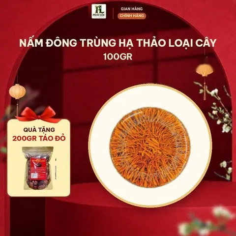 Nấm Đông Trùng Hạ Thảo Loại Cây 100gr