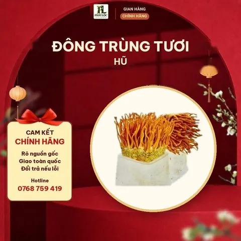 Đông Trùng Tươi Hũ