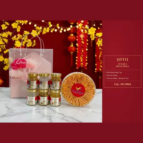 Túi Quà Hồng Phát QTT11 Nấm đông trùng 15gr, 6 hũ yến chưng, túi mica hồng